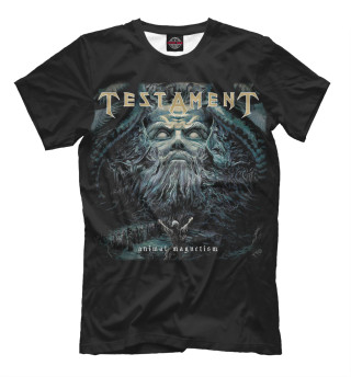 Футболка для мальчиков Testament