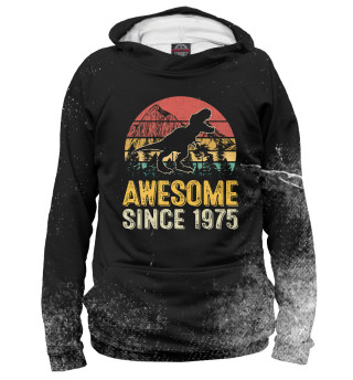 Мужское худи Retro Awesome Since 1975