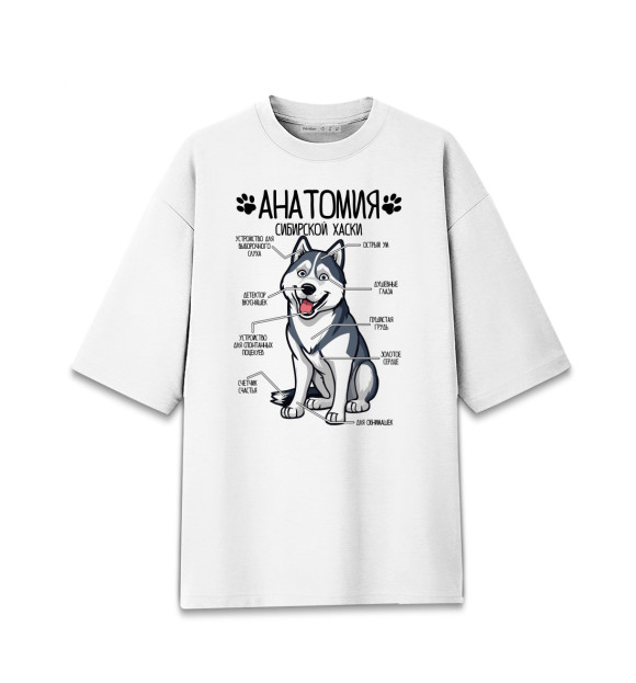 Женская футболка оверсайз с изображением Сибирский Хаски анатомия строение собаки цвета Белый