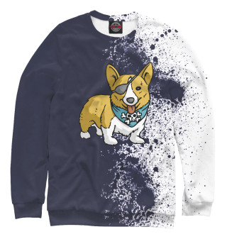 Свитшот для мальчиков Pirate Corgi