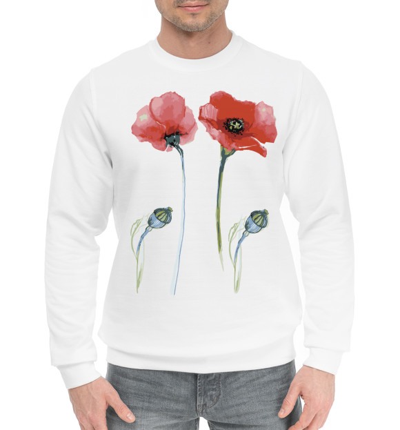 Мужской хлопковый свитшот с изображением Маки цвета Белый