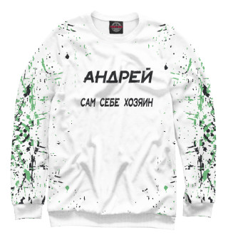 Андрей сам себе хозяин