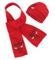 Шарф и шапка Chicago Bulls