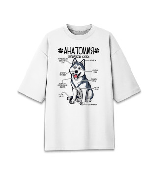 Мужская футболка оверсайз Сибирский Хаски анатомия строение собаки