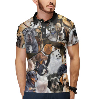 Собаки | Doge