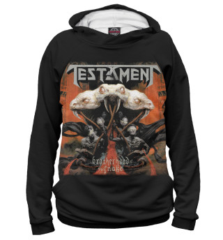 Худи для мальчика Testament