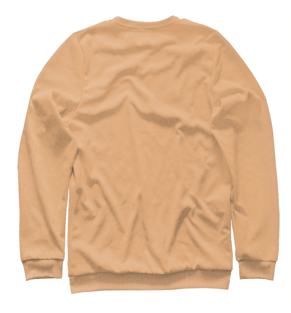 Свитшот для мальчиков с изображением Цвет Красный песок цвета Белый