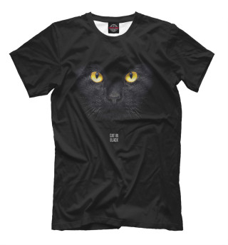 Cat In Black