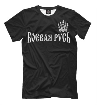 Славяне  - сила (с печатью велеса)