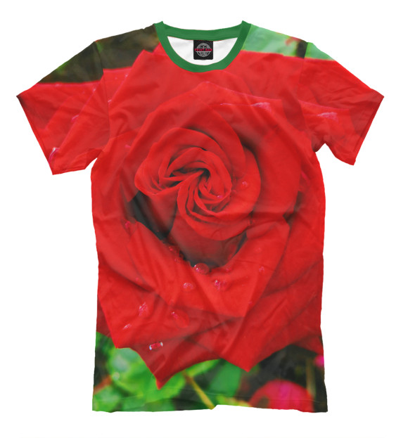 Мужская футболка с изображением Красная роза на листве цвета Белый