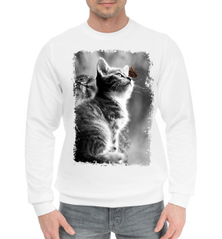 Котенок и бабочка