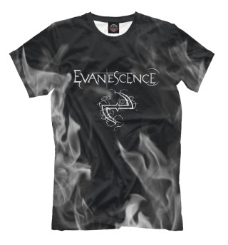 Футболка для мальчиков Evanescence - пламя