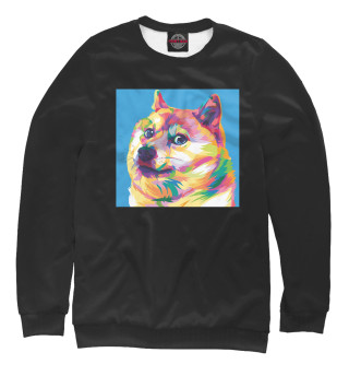 Свитшот для мальчиков Doge Color