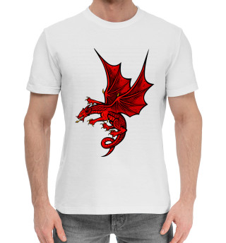 Хлопковая футболка для мальчиков Драконы