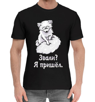 Песец пришёл