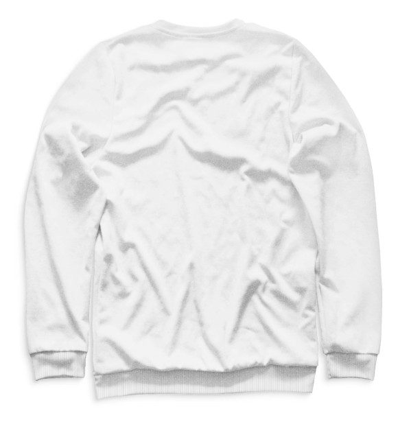 Мужской свитшот с притом Stray цвета Белый Мужской свитшот с изображением Stray цвета Белый