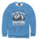 Мужской свитшот Napping panda
