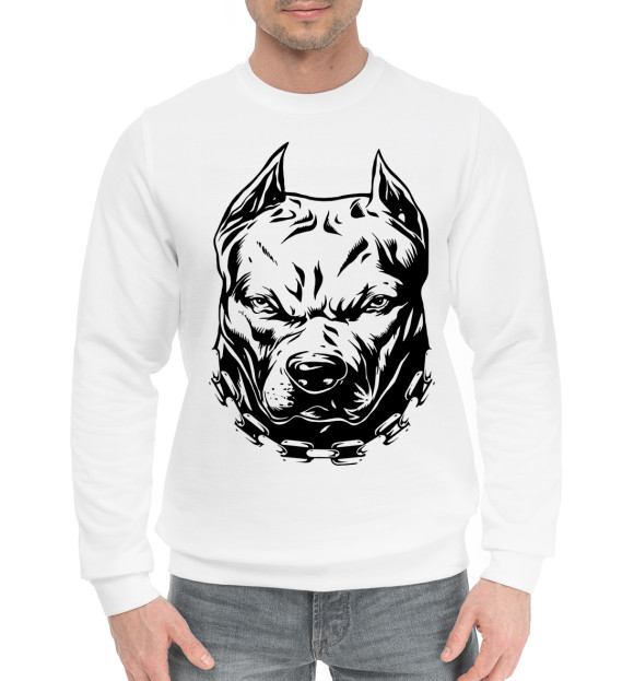 Мужской хлопковый свитшот с изображением Питбуль цвета Белый