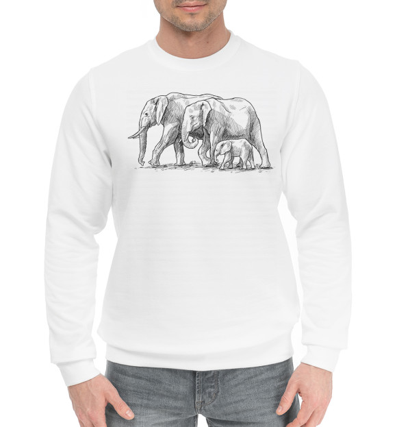 Мужской хлопковый свитшот с изображением Слоны цвета Белый