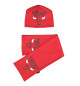 Шарф и шапка Chicago Bulls