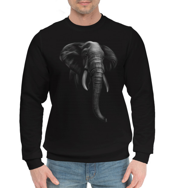 Мужской хлопковый свитшот с изображением Слоны цвета Черный