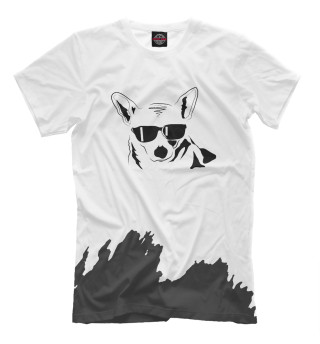 Футболка для мальчиков Cool Corgi