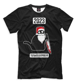 Мужская футболка 2023 только попробуй