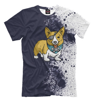 Футболка для мальчиков Pirate Corgi