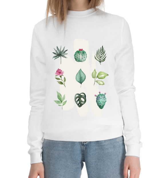 Женский хлопковый свитшот с изображением Роза и кактус цвета Белый