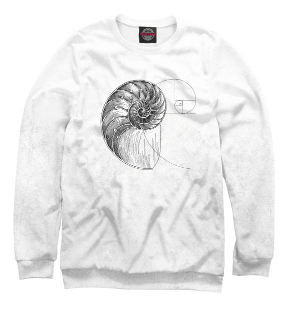 Мужской свитшот с изображением Fibonacci spiral цвета Белый