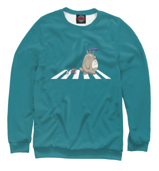 Свитшот для мальчиков Totoro Road