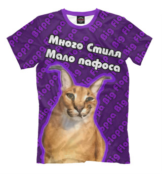 Футболка для мальчиков Много стиля. Мало пафоса