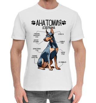 Мужская хлопковая футболка Анатомия добермана