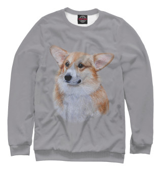 Свитшот для мальчиков Corgi dog