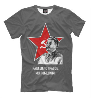 Футболка для мальчиков Мы победили!