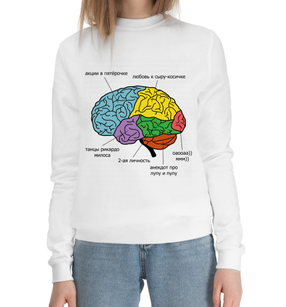 Женский хлопковый свитшот с изображением Строение мозга цвета Белый