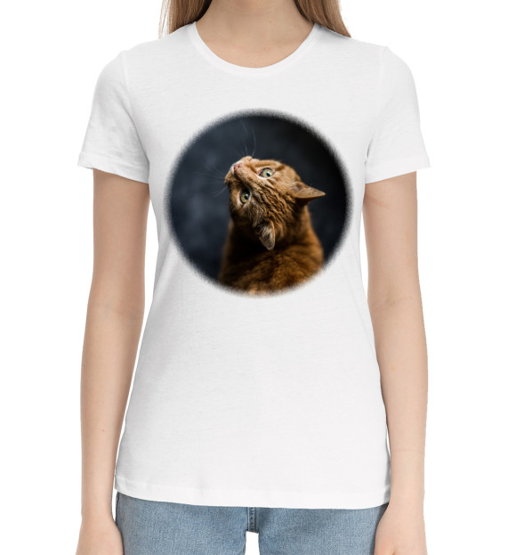 Женская хлопковая футболка с изображением Рыжий кот цвета Белый