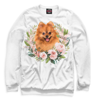 Померанский шпиц