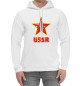 Мужской хлопковый худи USSR