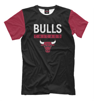  Chicago Bulls