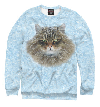 Сибирский кот