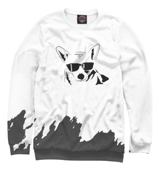 Свитшот для мальчиков Cool Corgi