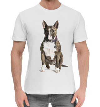 Хлопковая футболка для мальчиков Bull terrier